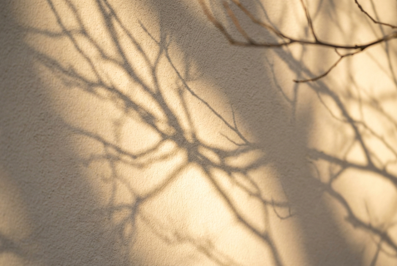 Branching tree shadows on a wall resembling a nerve's winding pathways